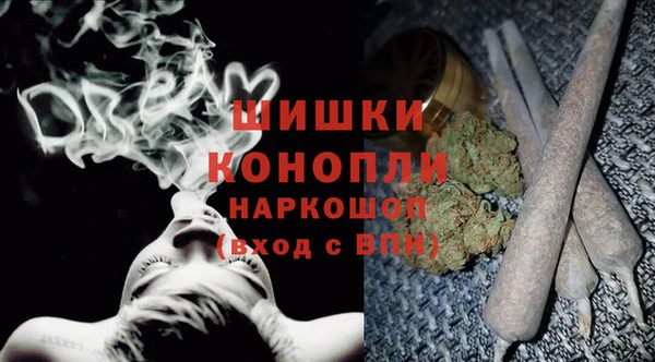 прущие крисы Бородино