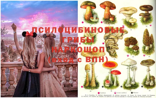 прущие крисы Бородино