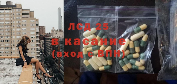 прущие крисы Бородино