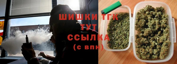 прущие крисы Бородино