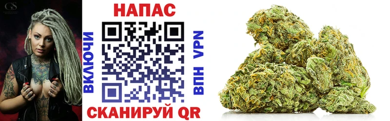 Бошки марихуана конопля  как найти наркотики  Вилюйск 